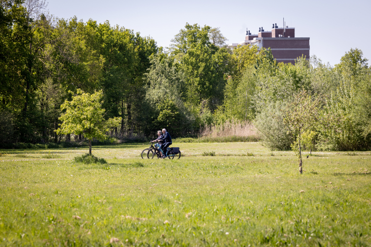 Fietsers in natuurgebied De Schammer