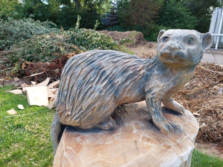 houtsculptuur van otter Marickenland (5 juli 2022)
