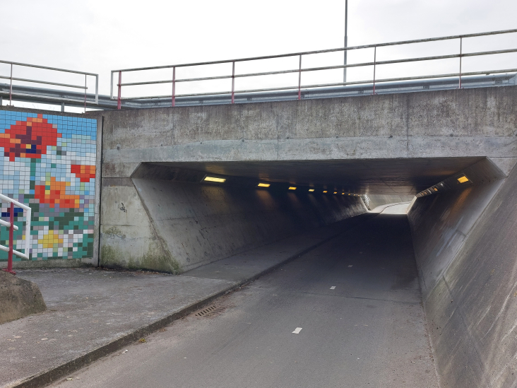 Fietstunnel N229 Cothen