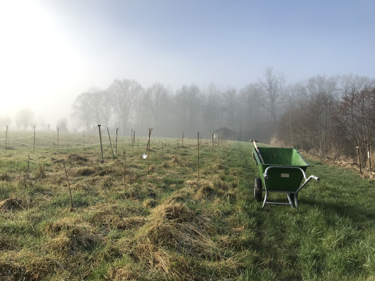 Aanplant-Voedselbos-Driebergen-2022.JPG