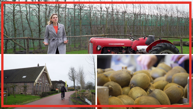Thumbnail Mirjam Sterk