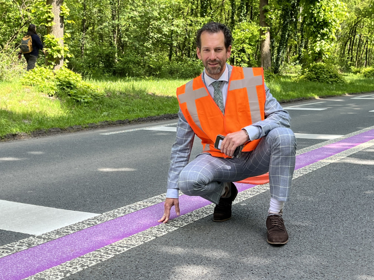 Gedeputeerde Arne Schaddelee van de provincie Utrecht staat bij de nieuwe paarse middenstreep op de N225 bij Rhenen.