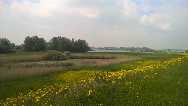 Natuurgebied de Lunenburgerwaard