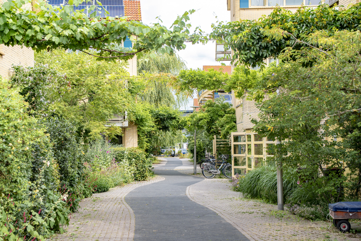 Voetpad/fietspad in woonwijk met veel groen