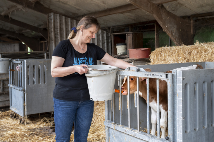 Gerda Kool geeft kalfje voer