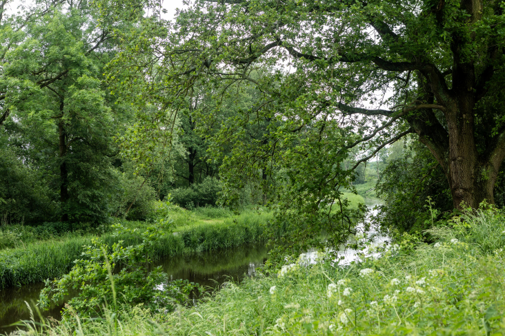 Natuurgebied Leusden
