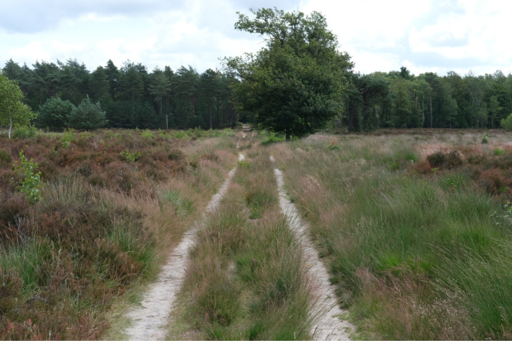 © Manuel Reichert Paden in het grasland op Landgoed Den Treek te Leusden