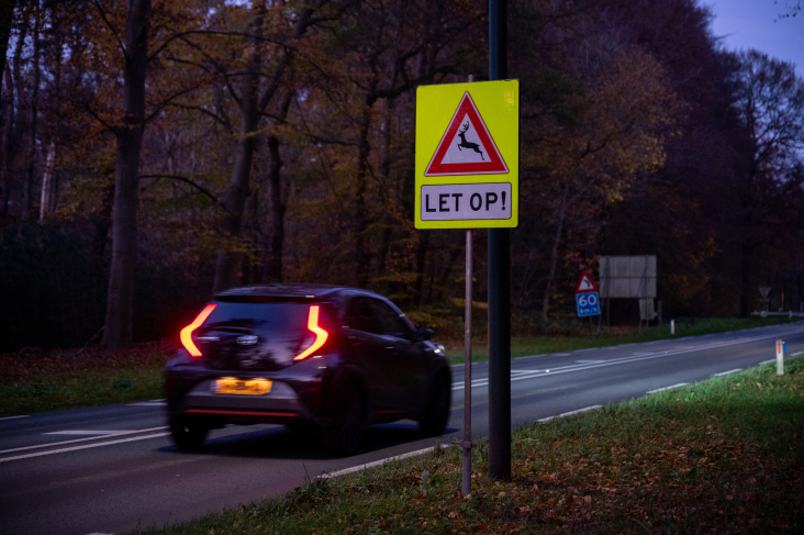 Waarschuwingsbord overstekend wild