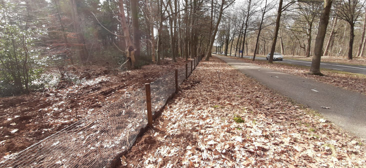 dassenraster N415 Baarn