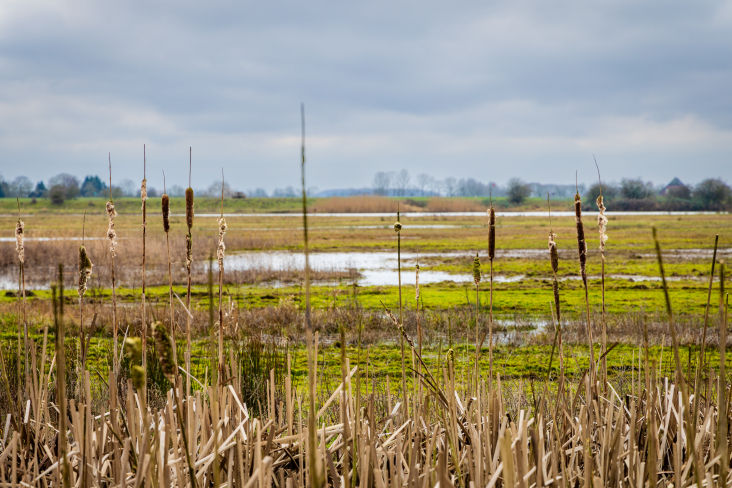 Elster Buitenwaarden