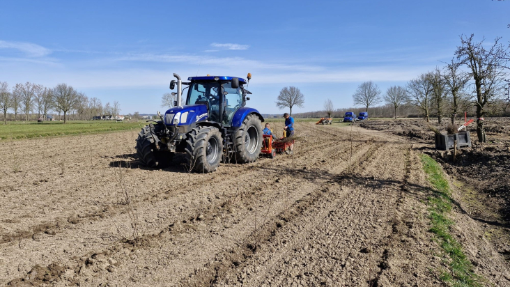 Aannemer plant boompjes in het gebied