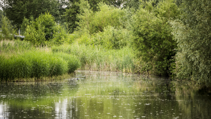 Inundatiekanaal LaagRaven
