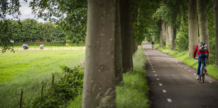 Fietsers op de Tiendweg Bunsinglaan