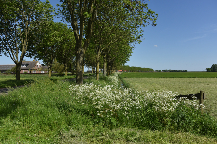 © Jeroen Bosch Fotografie en landschap Boerderij Geerenweg, Eemnes