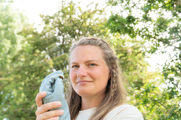 © Jeannette Scholten Hollandse Bijenlinies - Willemijn met bij