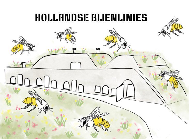 Hollandse Bijenlinies
