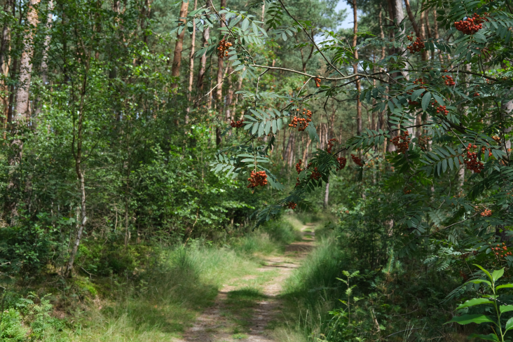 © Manuel Reichert Landgoed Den Treek Leusden