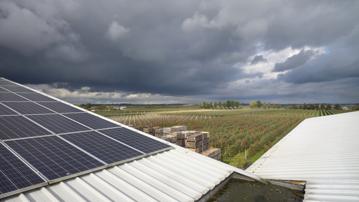 zonnepanelen op schuur bij boomgaard