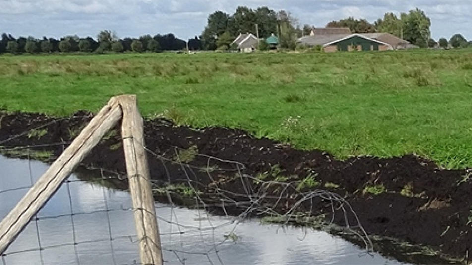 Sloot en weilanden