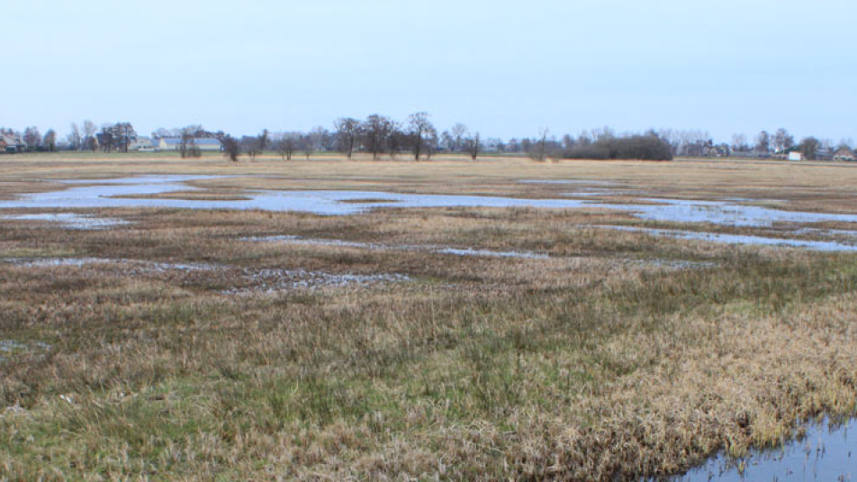 Foto van natuurgebied Binnenveld