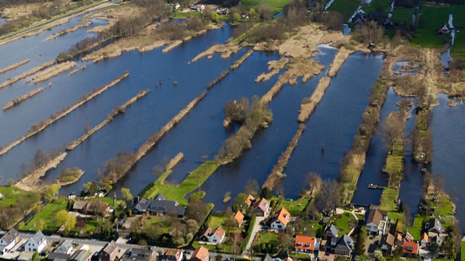 oostelijke-vechtplassen.jpg