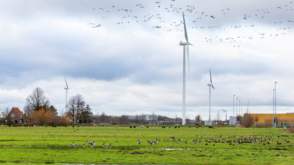 windmolens Kromme Rijnstreek