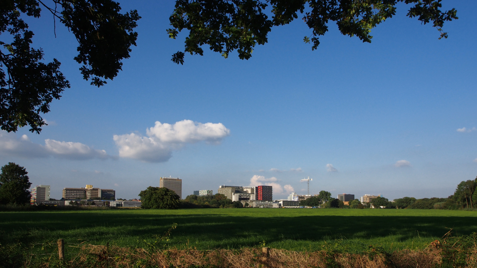skyline Uithof