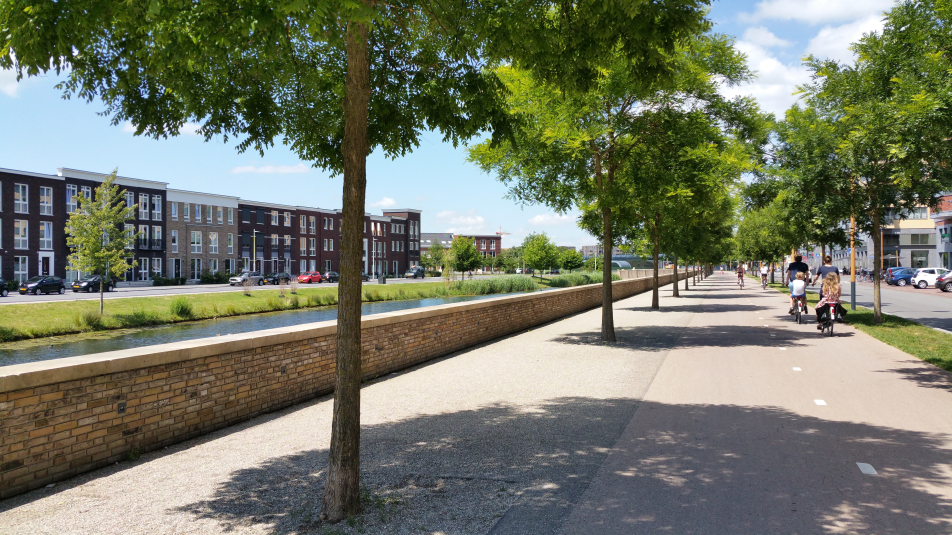Fietspad met aan beide kanten bomen in nieuwbouwwijk Leidsche Rijn
