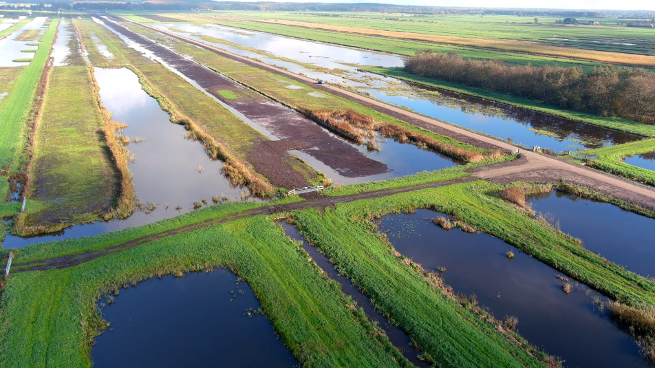 Oostelijke Vechtplassen - Westbroekse Zodden