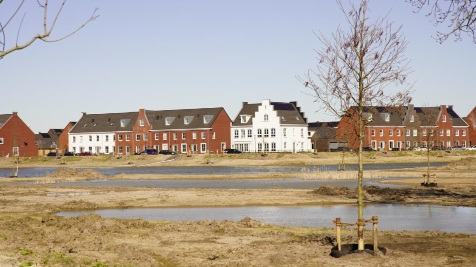 Nieuwbouwwijk - klimaatadaptatie - wateropvang