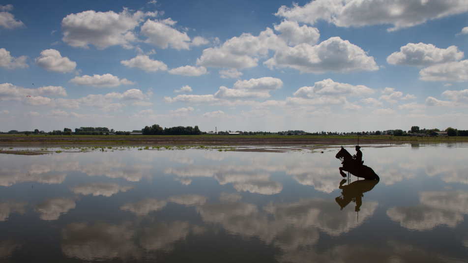 Polder Blokhoven