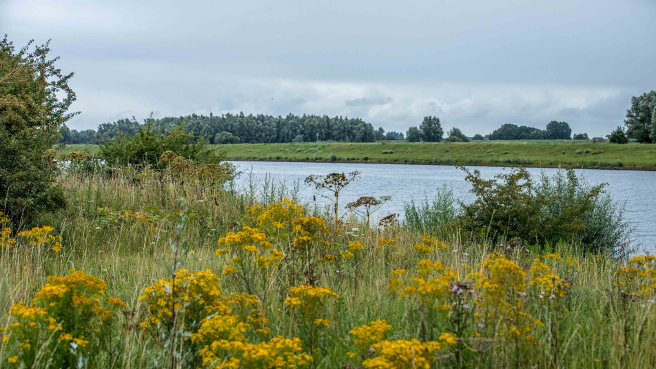 Lunenburgerwaard