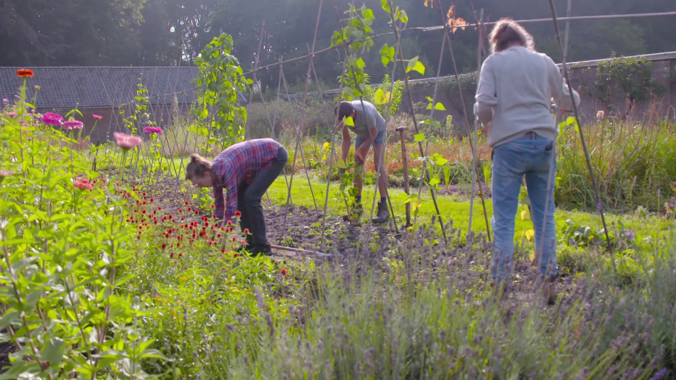 Twee vrouwen en één man werken in een moestuin