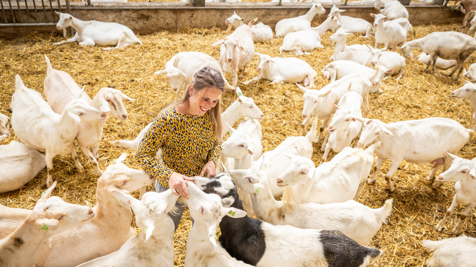 Geitenboer Lisette de Lange uit Leersum