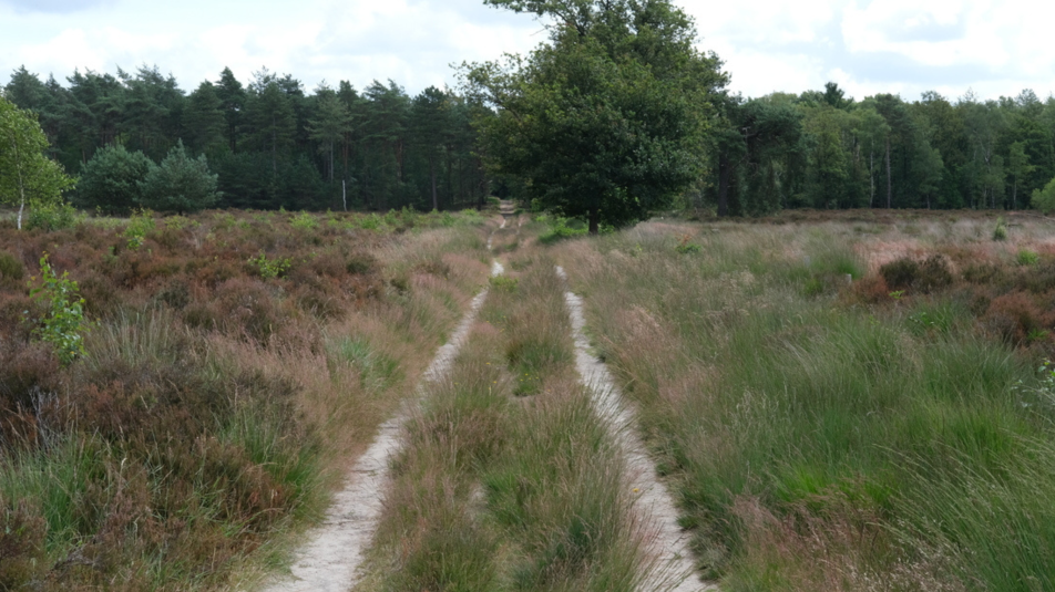 Paden in het grasland op Landgoed Den Treek te Leusden