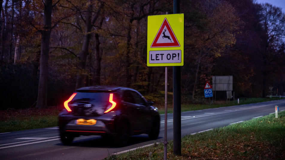 Waarschuwingsbord overstekend wild 