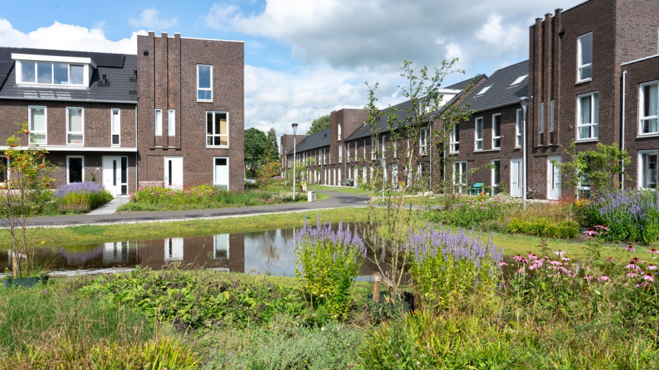 Natuurinclusieve buurt met wadi