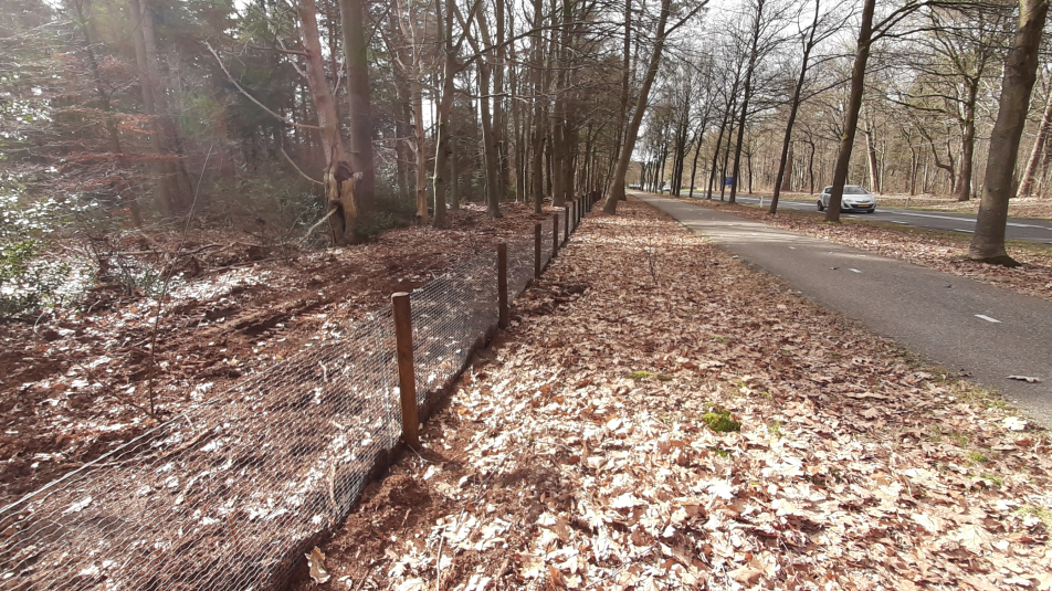 dassenraster N415 Baarn