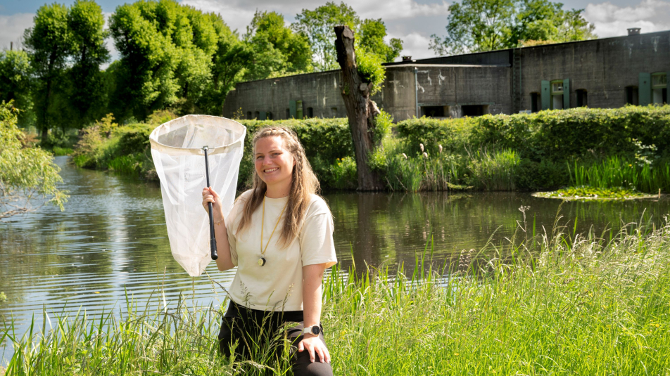 Hollandse Bijenlinies met Willemijn van Hees