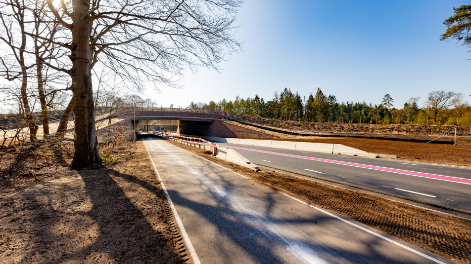 Ecoduct Maarsbergen in april 2025