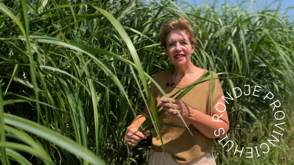 Rondje Provinciehuis - biobased bouwen
