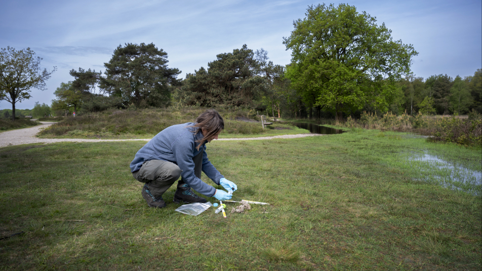 Vrijwilliger Zoogdiervereniging monitor Wolf