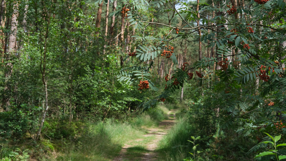 Landgoed Den Treek Leusden